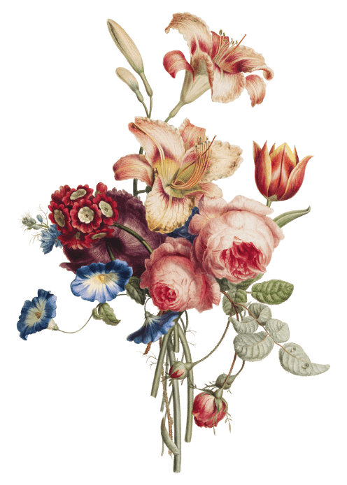 Bos met verschillende kleuren bloemen